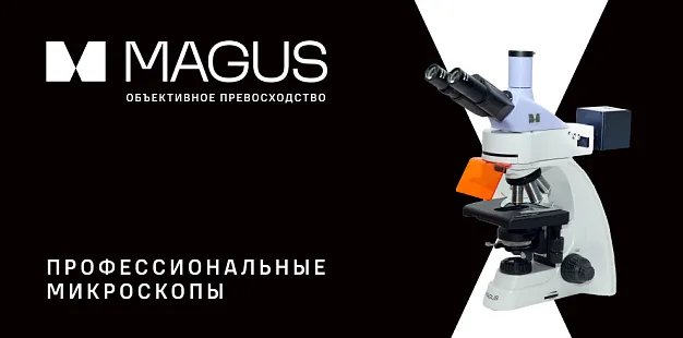 MAGUS