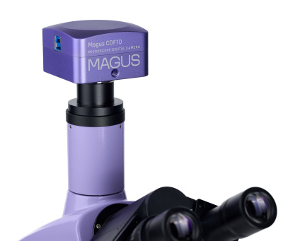  Микроскоп биологический цифровой MAGUS Bio D230TL в интернет-магазине Левенгук от производителя.