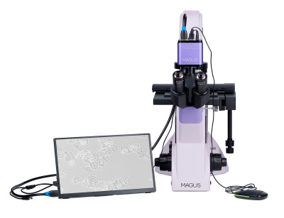  Микроскоп биологический инвертированный цифровой MAGUS Bio VD350 LCD в интернет-магазине Левенгук от производителя.