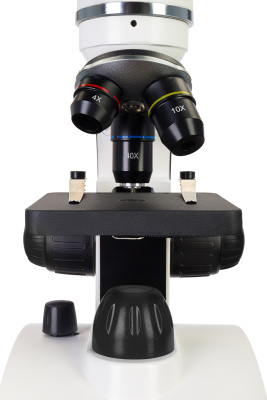  (RU) Микроскоп Levenhuk Discovery Pico с книгой в интернет-магазине Левенгук от производителя.