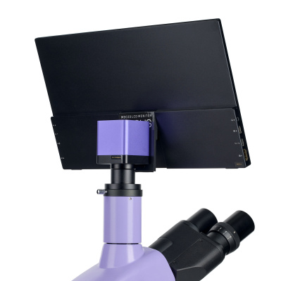  Микроскоп биологический цифровой MAGUS Bio D250TL LCD в интернет-магазине Левенгук от производителя.