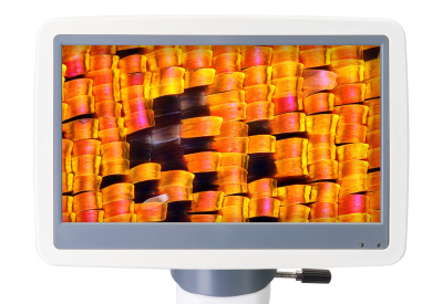  Микроскоп цифровой Levenhuk D95L LCD в интернет-магазине Левенгук от производителя.