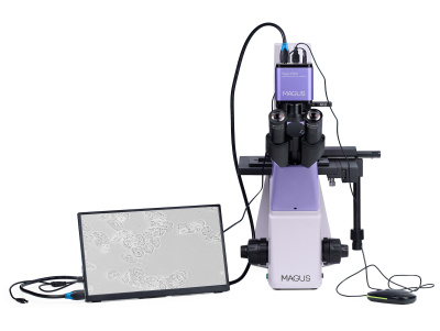  Микроскоп биологический инвертированный цифровой MAGUS Bio VD300 LCD в интернет-магазине Левенгук от производителя.