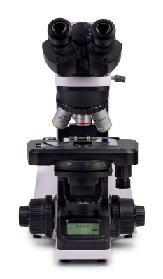  Микроскоп биологический цифровой MAGUS Bio DH240 в интернет-магазине Левенгук от производителя.