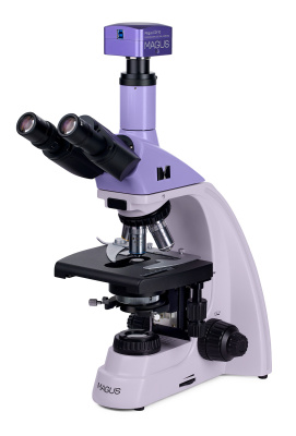  Микроскоп биологический цифровой MAGUS Bio D230TL в интернет-магазине Левенгук от производителя.