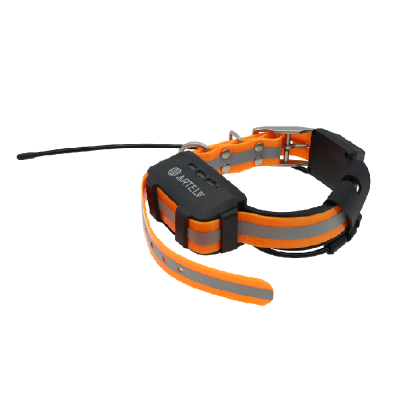  GPS-ошейник ARTELV COLLAR в интернет-магазине Левенгук от производителя.