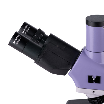  Микроскоп биологический цифровой MAGUS Bio D250TL LCD в интернет-магазине Левенгук от производителя.