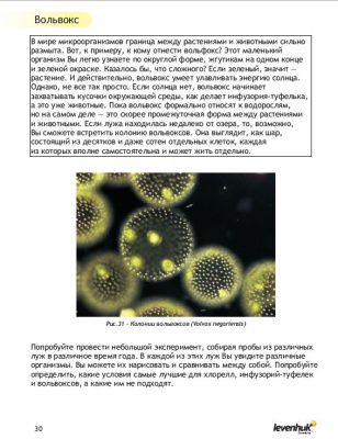  (RU) Набор для опытов с микроскопом Levenhuk K50 в интернет-магазине Левенгук от производителя.