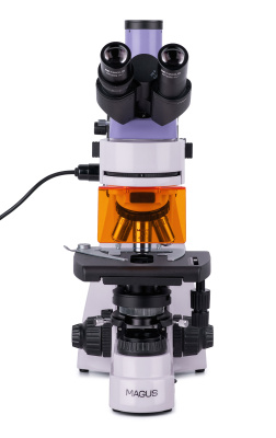  Микроскоп люминесцентный цифровой MAGUS Lum D400 в интернет-магазине Левенгук от производителя.