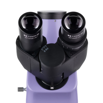  Микроскоп люминесцентный цифровой MAGUS Lum D400L в интернет-магазине Левенгук от производителя.