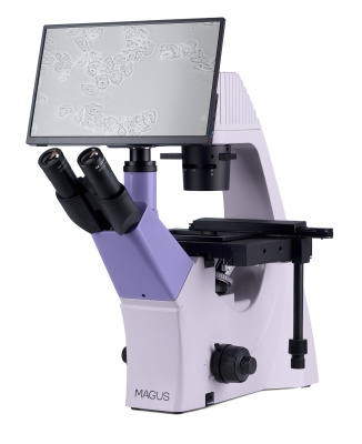 Микроскоп биологический инвертированный цифровой MAGUS Bio VD300 LCD в интернет-магазине Левенгук от производителя.