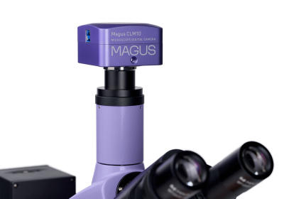  Микроскоп люминесцентный цифровой MAGUS Lum D400L в интернет-магазине Левенгук от производителя.