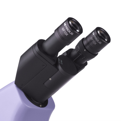  Микроскоп биологический MAGUS Bio 230BL в интернет-магазине Левенгук от производителя.