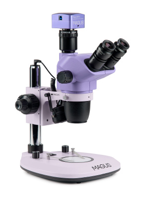  Микроскоп стереоскопический цифровой MAGUS Stereo D8T BASE в интернет-магазине Левенгук от производителя.