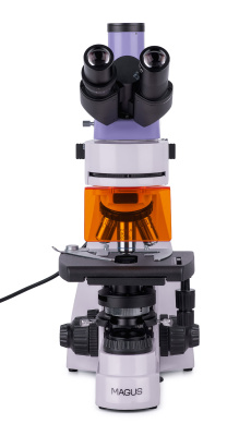  Микроскоп люминесцентный цифровой MAGUS Lum D400L в интернет-магазине Левенгук от производителя.
