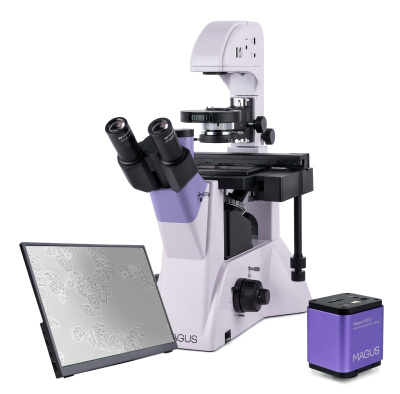  Микроскоп биологический инвертированный цифровой MAGUS Bio VD350 LCD в интернет-магазине Левенгук от производителя.