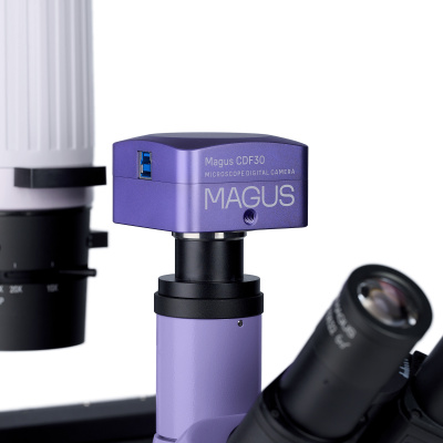  Микроскоп биологический инвертированный цифровой MAGUS Bio VD300 в интернет-магазине Левенгук от производителя.