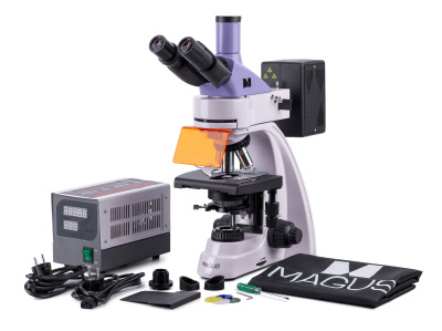  Микроскоп люминесцентный цифровой MAGUS Lum D400 LCD в интернет-магазине Левенгук от производителя.