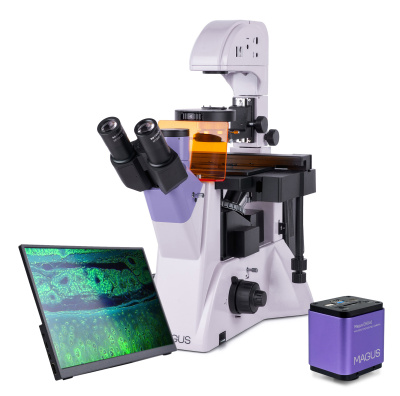  Микроскоп люминесцентный инвертированный цифровой MAGUS Lum VD500 LCD в интернет-магазине Левенгук от производителя.