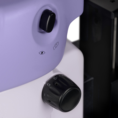  Микроскоп стереоскопический MAGUS Stereo A18T в интернет-магазине Левенгук от производителя.