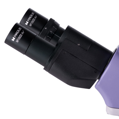  Микроскоп биологический MAGUS Bio 250BL в интернет-магазине Левенгук от производителя.