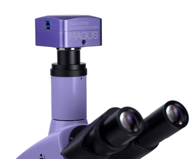  Микроскоп биологический цифровой MAGUS Bio D250TL в интернет-магазине Левенгук от производителя.