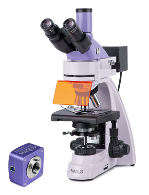  Микроскоп люминесцентный цифровой MAGUS Lum D400L в интернет-магазине Левенгук от производителя.