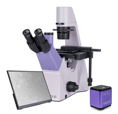  Микроскоп биологический инвертированный цифровой MAGUS Bio VD300 LCD в интернет-магазине Левенгук от производителя.