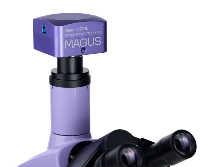  Микроскоп биологический цифровой MAGUS Bio D230T в интернет-магазине Левенгук от производителя.