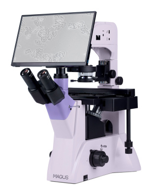  Микроскоп биологический инвертированный цифровой MAGUS Bio VD350 LCD в интернет-магазине Левенгук от производителя.