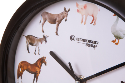  Часы настенные Bresser Junior, 25 см, с животными в интернет-магазине Левенгук от производителя.