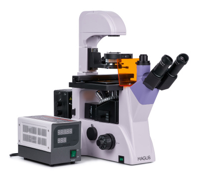  Микроскоп люминесцентный инвертированный MAGUS Lum V500 в интернет-магазине Левенгук от производителя.