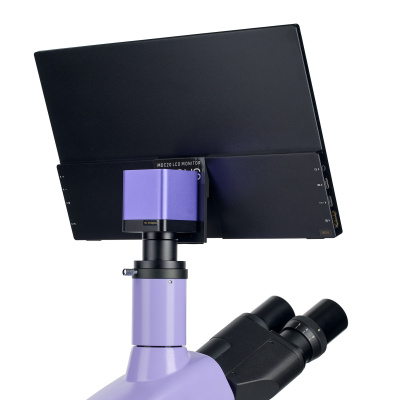  Микроскоп биологический цифровой MAGUS Bio D250T LCD в интернет-магазине Левенгук от производителя.