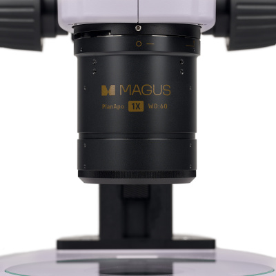  Микроскоп стереоскопический MAGUS Stereo A18T в интернет-магазине Левенгук от производителя.