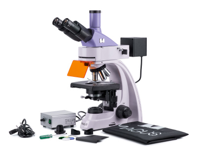  Микроскоп люминесцентный цифровой MAGUS Lum D400L в интернет-магазине Левенгук от производителя.
