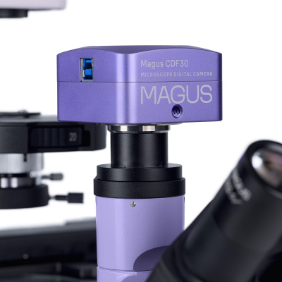  Микроскоп биологический инвертированный цифровой MAGUS Bio VD350 в интернет-магазине Левенгук от производителя.
