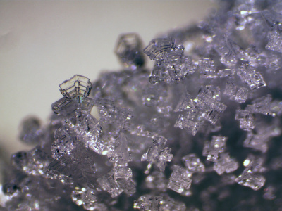  Микроскоп стереоскопический Bresser Erudit ICD 20x/40x в интернет-магазине Левенгук от производителя.