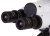 Купить Микроскоп Bresser Erudit Basic 40–400x в интернет-магазине Levenhuk от производителя. Микроскоп Bresser Erudit Basic 40–400x в интернет-магазине Левенгук от производителя.