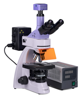  Микроскоп люминесцентный цифровой MAGUS Lum D400 в интернет-магазине Левенгук от производителя.