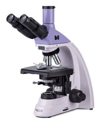  Микроскоп биологический MAGUS Bio 250TL в интернет-магазине Левенгук от производителя.