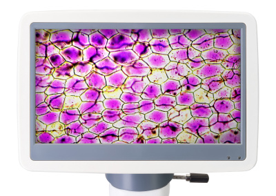  Микроскоп цифровой Levenhuk D85L LCD в интернет-магазине Левенгук от производителя.